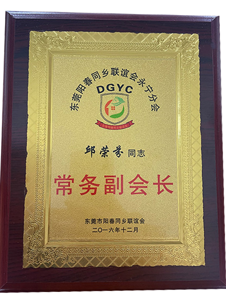 常(chang)務(wu)副會(hui)長(zhang)證書(shu)